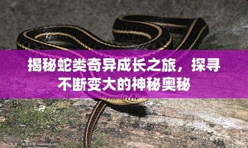 映月读书 第2页