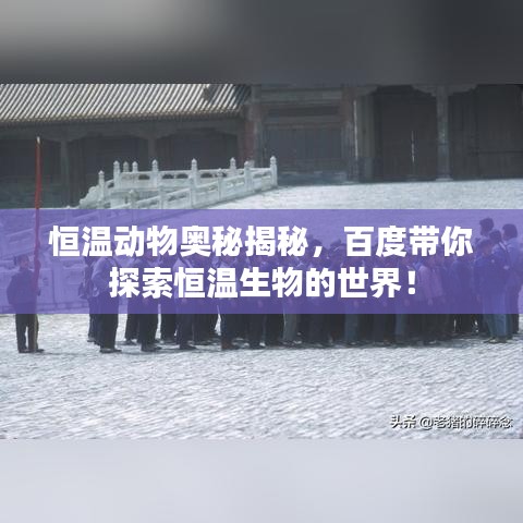 冰清玉洁 第2页