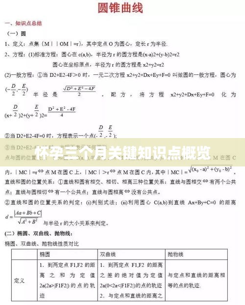 伤弓之鸟 第2页