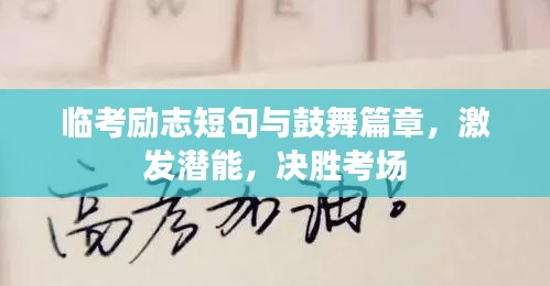 竭尽全力 第2页