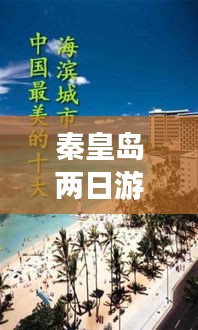 穷鸟入怀 第2页