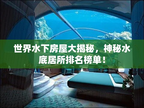 闻所未闻 第2页