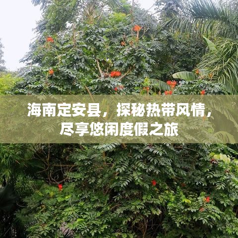海南定安县,探秘热带风情,尽享悠闲度假之旅