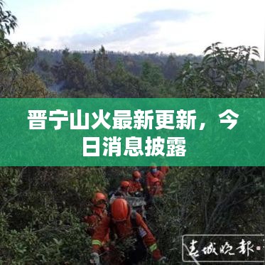 展翅高飞 第2页