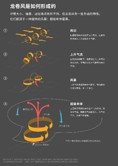 行疾如飞