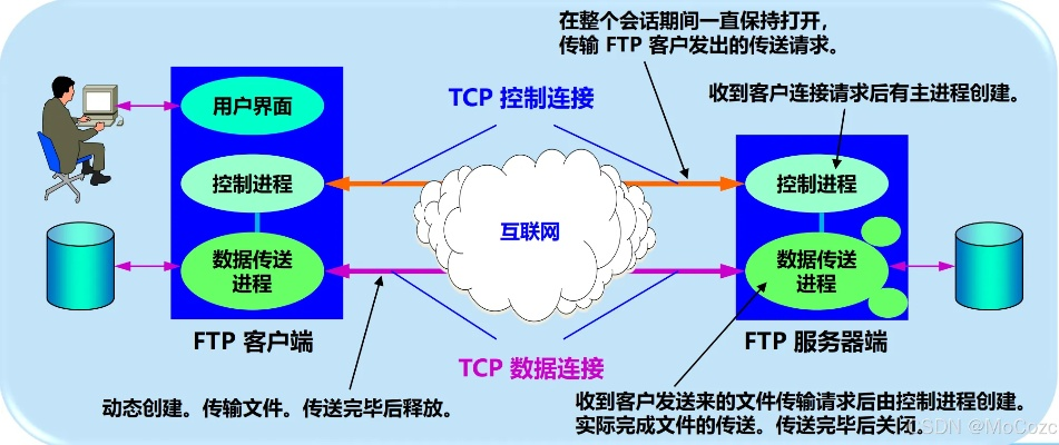 FTP版本，深入数据执行策略手游版介绍，v6.690下载体验评测