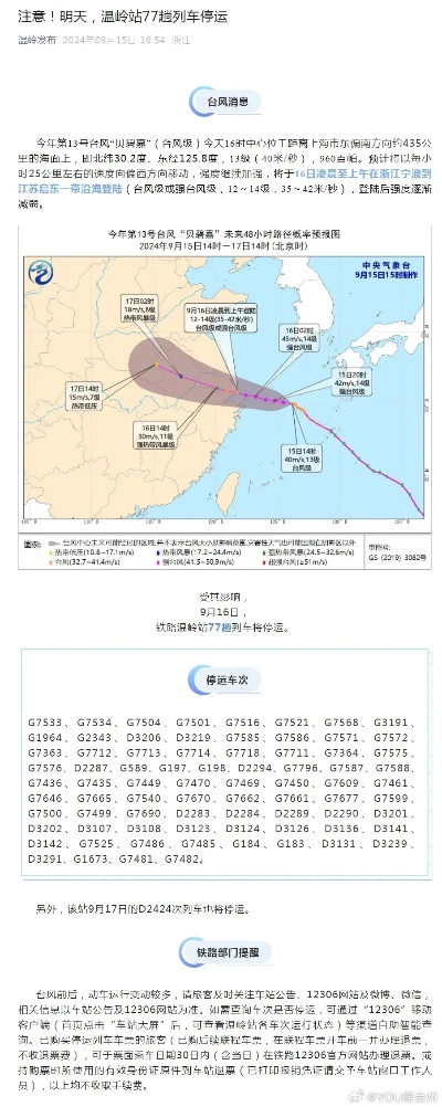 ro最新版本,实地考察数据策略|PalmOS_v2.197