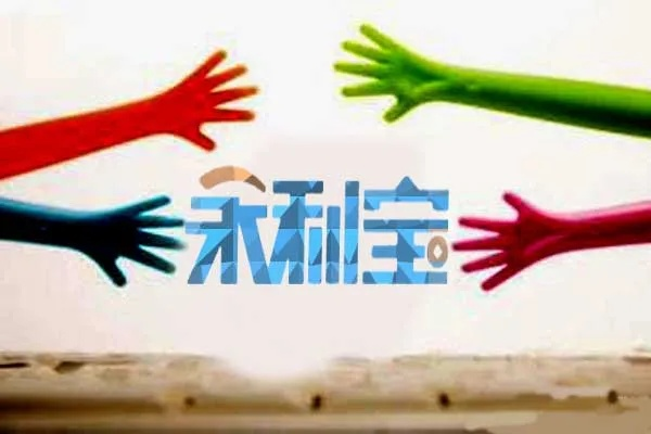 禾商所宝利来,宝藏级软件的超凡魅力与独特功能