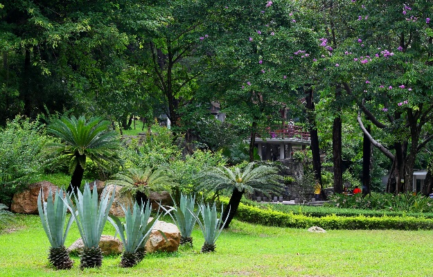 后花园 下载官方,综合数据解析说明|进阶款_v3.328