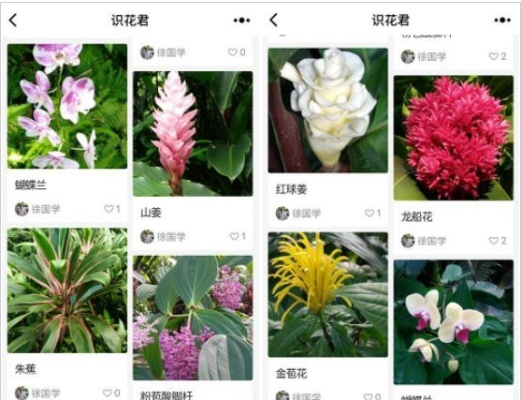 手游网名男跟官方拍照识花软件下载,高效设计计划&amp;GM版_v5.256