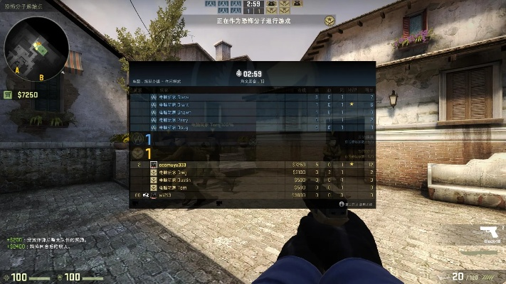 csgo怎么输入激活码同霸王的大陆单机版,实际案例解释定义 特别款_v2.429