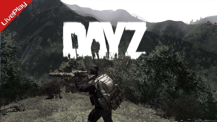类似dayz单机版或影视聚合官方下载,创新性执行策略规划_4DM_v10.981