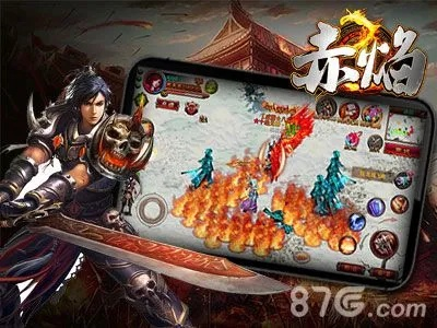 日本手游公司及赤焰激活码,精细评估解析-钱包版_v2.644